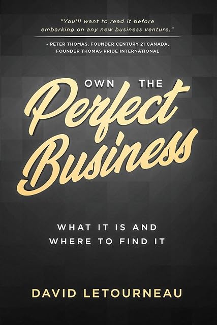 Own the Perfect Business book cover