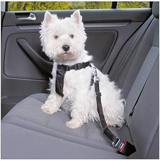 TRIXIE Auto Geschirr Größe XS: Brustumfang 20–50 cm/15 mm in schwarz - stufenlos anpassbares Hundegeschirr für das Auto mit verstellbarem Anschnallgurt für sehr kleine Hunde, 1288 product image
