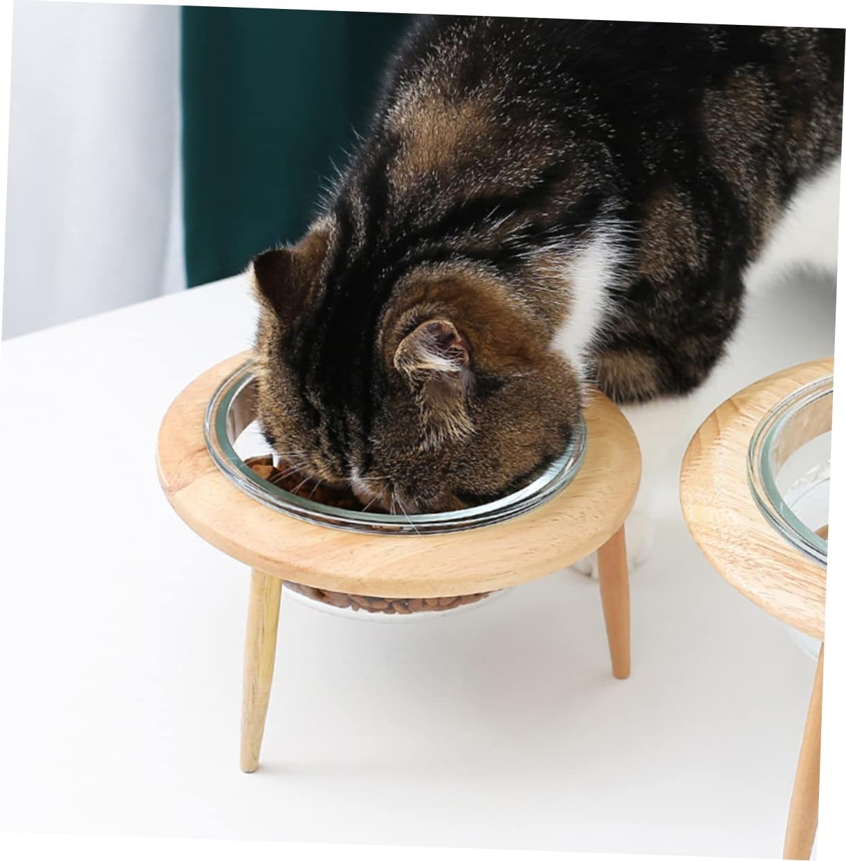 Glass Pet Bowl Pet Feeder Dog Cat Dish and Easy-Clean Detachable Tripod for Travel