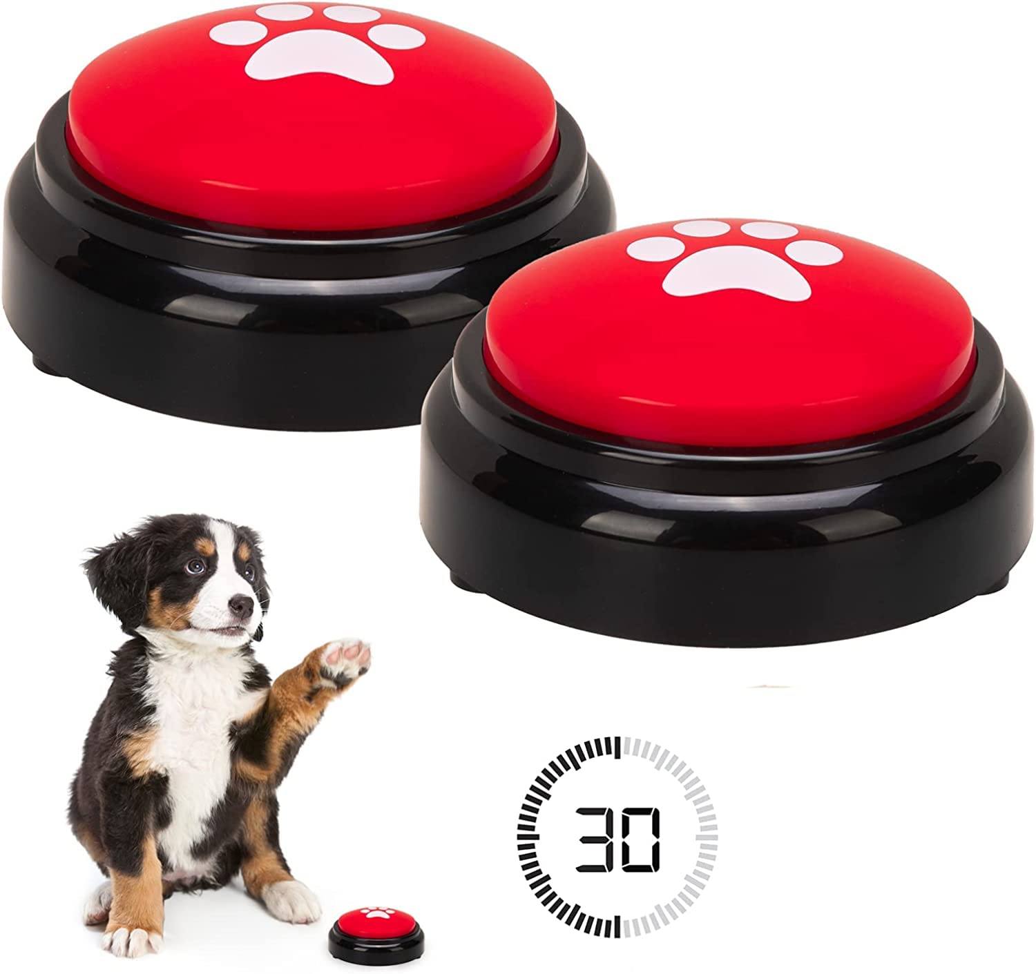 Do Dogs Have Different Voices