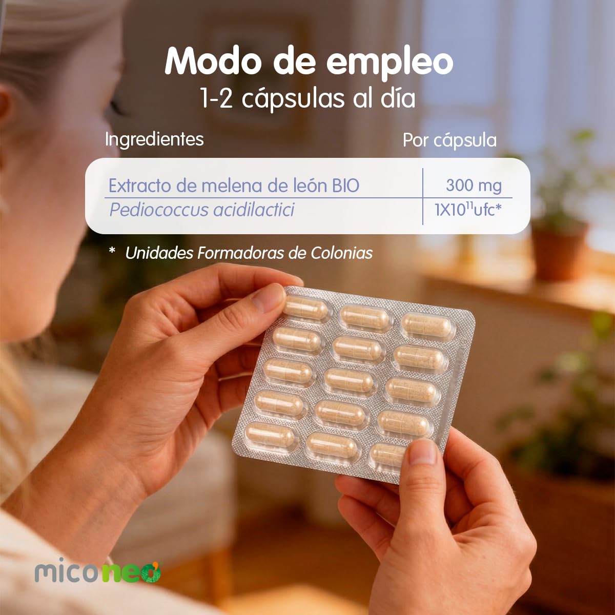 MICO NEO | GYB | 60 Cápsulas | Suplemento Alimenticio de Hongos Naturales Para Equilibrio intestinal y claridad mental | Con Melena de León y Probiótico | Equilibrio intestinal, Claridad mental, Con Melena de León, Con Probiótico