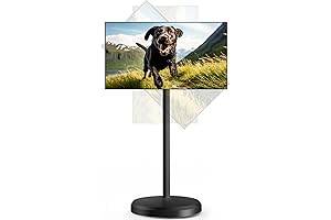 22" Portable TV with Touchscreen and Wheels