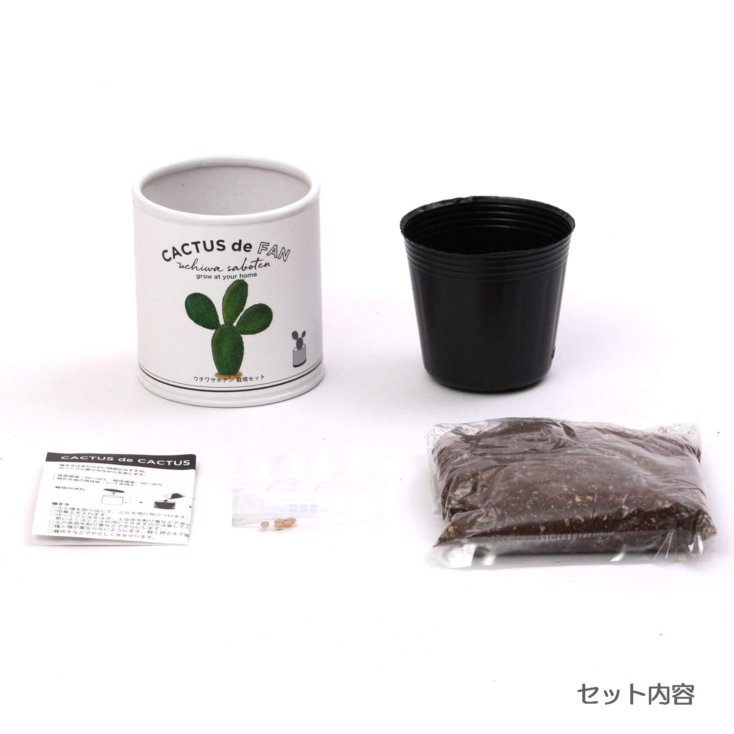 Amazon.co.jp: 聖新陶芸 栽培キット カクタスdeカクタス ウチワ