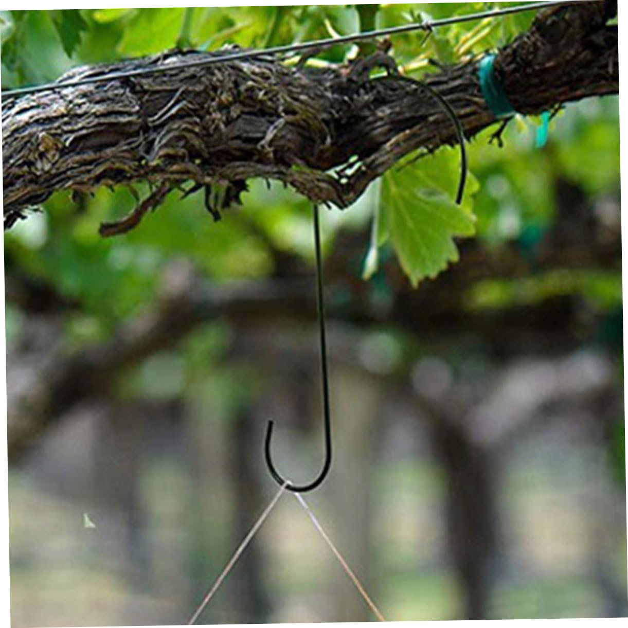 Hemoton 10Pcs S Hooks for Hanging Plants Bird Feeders and Flower Pots Durable Garden Extension Hooks for Outdoor Indoor Use