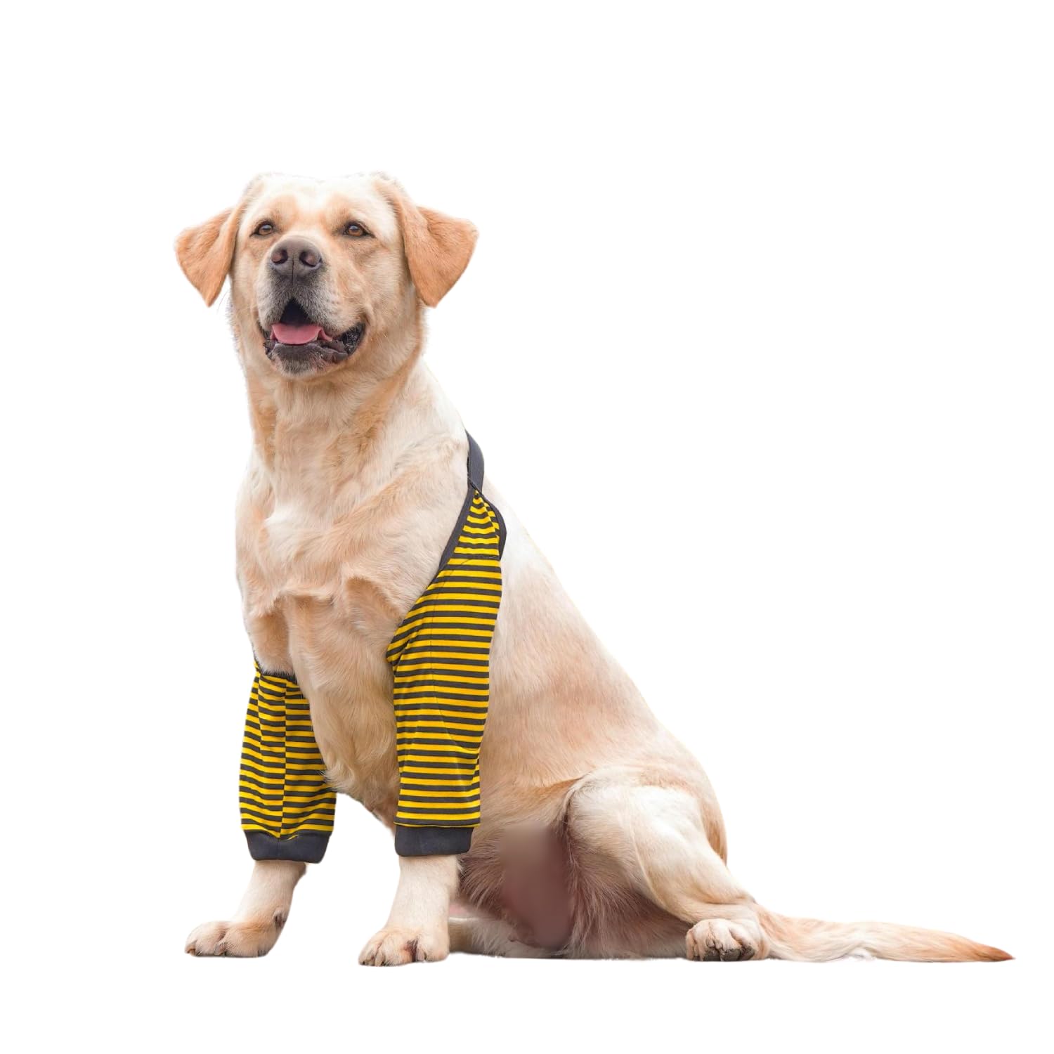 Blue Dream Island Dog Front Leg Braces Recovery Sleeve, Pet Knee Brace Wounds Protector for Medium Large Dog_L(Black Yellow Stripe) — image 1