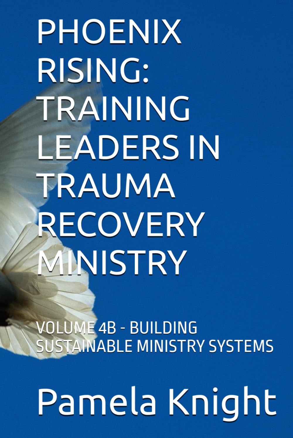 PHOENIX RISING: TRAINING LEADERS IN TRAUMA RECOVERY MINISTRY: VOLUME 4B - BUILDING SUSTAINABLE MINISTRY SYSTEMS