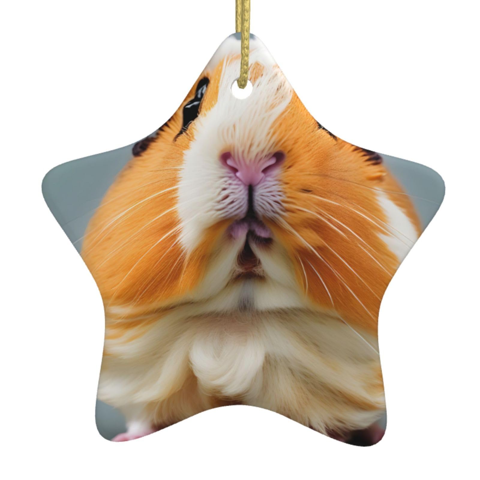 Nbtghga White Cut Guinea Pig Print Christmas Ornaments, Ceramic Hanging Ornament, Round Shape Decorations
