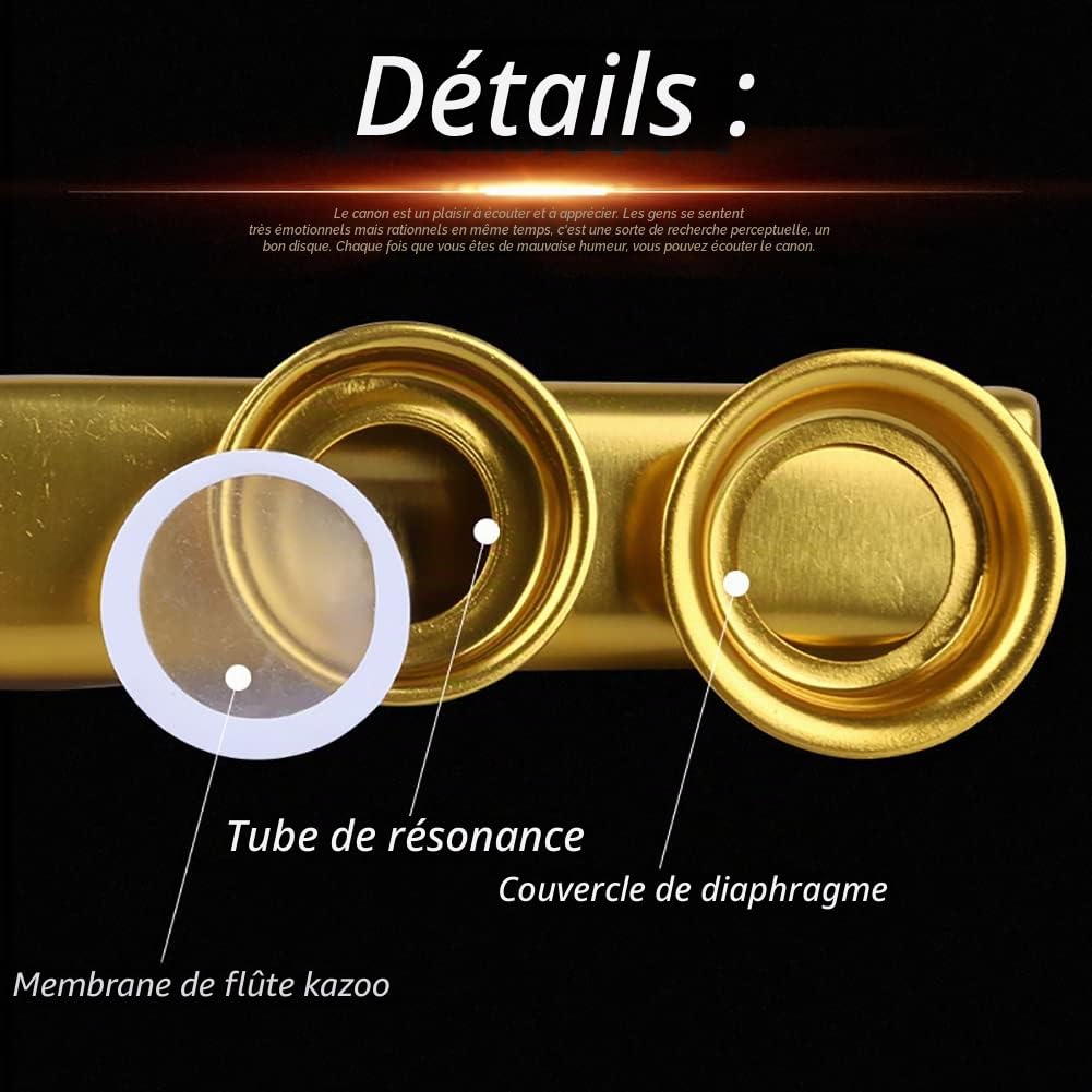 Alnicov Kazoo en métal, alliage d'aluminium Kazoo avec 5 membranes de flûte Kazoo et une belle boîte pour instruments de musique ukulélé guitare partenaire (argent)