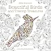 Produktbild Millie Marotta's Beautiful Birds and Treetop Treasures: A colouring book adventure: 5
