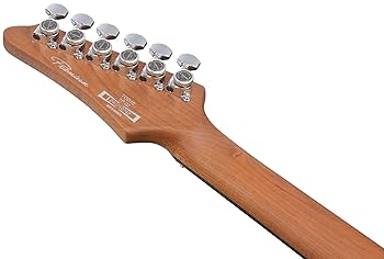 Amazon.com: Ibanez TOD10 TOD Tim Henson Electric Guitar