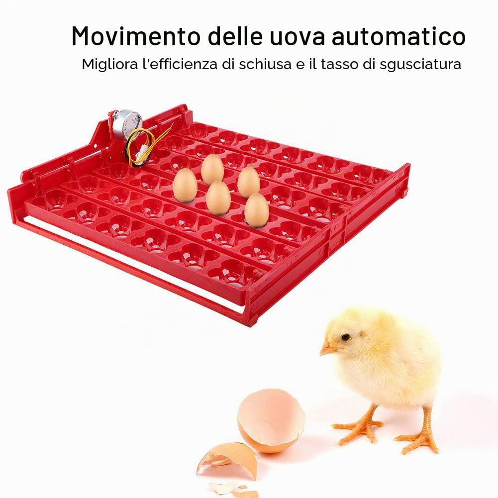 Leylor Egg Incubator for Hatching 36 Chicken Or 144 Bird Eggs Automatic Egg Turner Tray Digital Temperature Control Poultry Hatching Machine for Chickens Ducks Birds