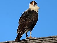 Review Image by mrbill mrbill