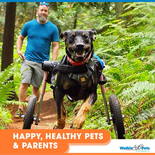 Dog Wheelchair - For Med/Large Dogs 50-69 Pounds - Veterinarian Approved - Dog Wheelchair For Back Legs #TOP3