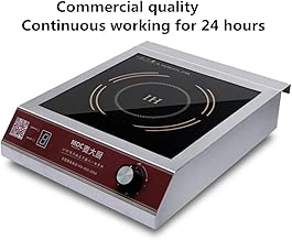 Best Big Induction Cooktop Of 2020 Top Rated Reviewed