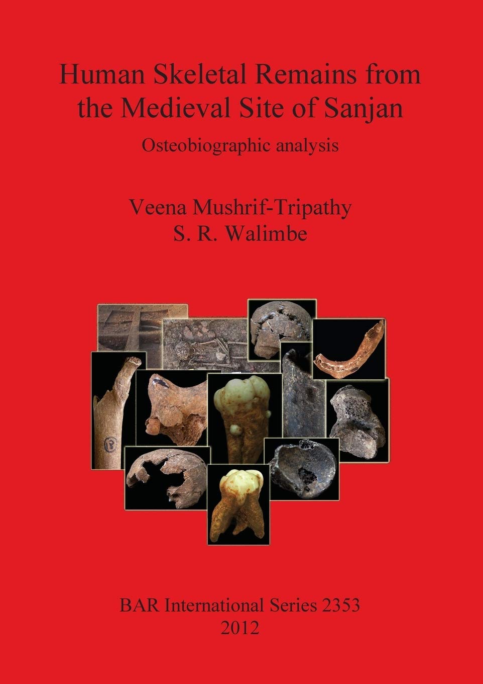 Human Skeletal Remains from The Medieval Site of Sanjan: Osteobiographic analysis: 2353 (British Archaeological Reports International Series)