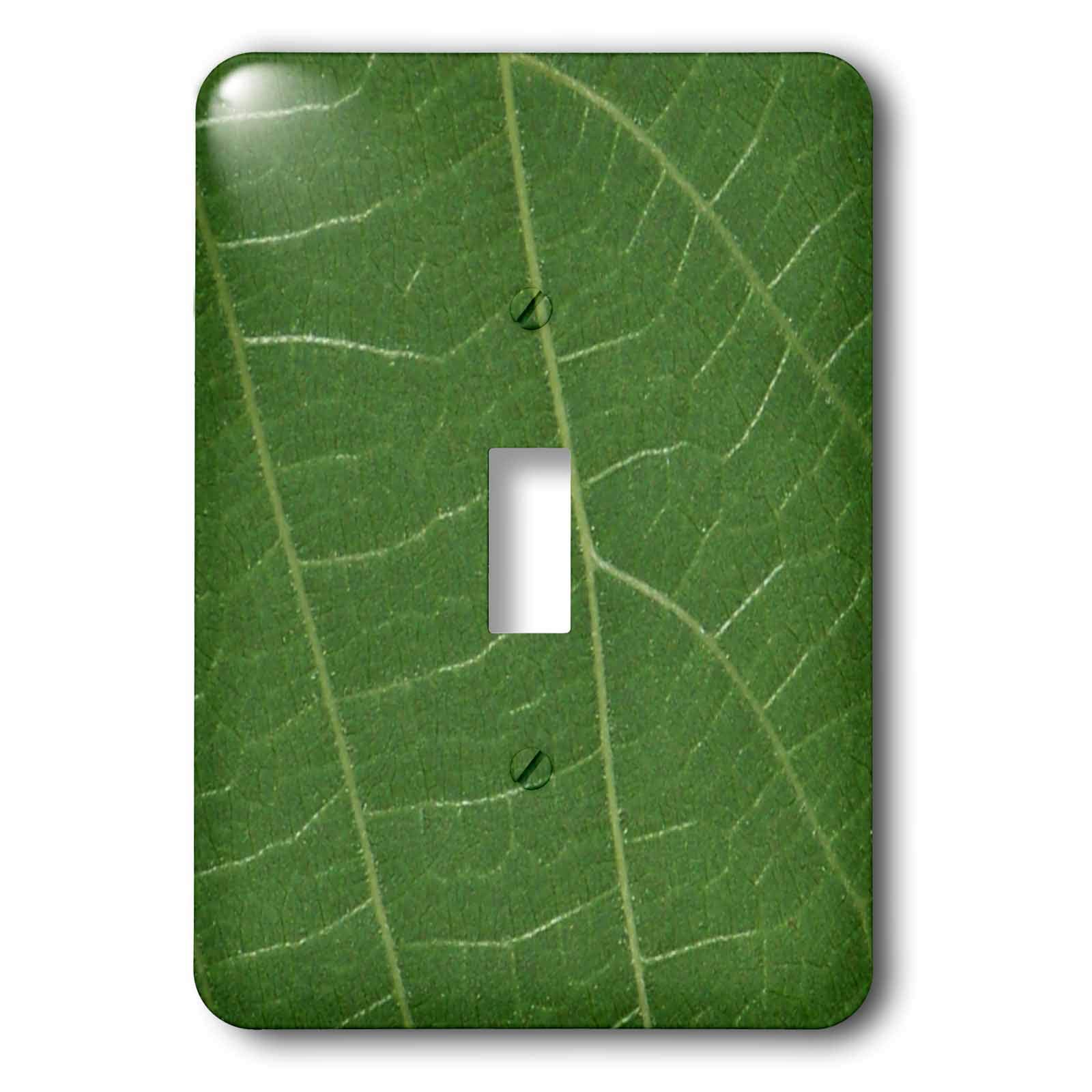 Interrupteur à bascule à feuille verte pour remplacer vos plaques électriques ternes