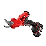 CRAFTSMAN 20V MAX Cordless Electric Pruner, Battery & Charger Included (CMCPR320C1) Modern