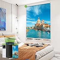 Vista 21 de TIPIACE Persianas de impresión motorizada recargables con control remoto, persiana enrollable de tela opaca completa compatible con Alexa Google