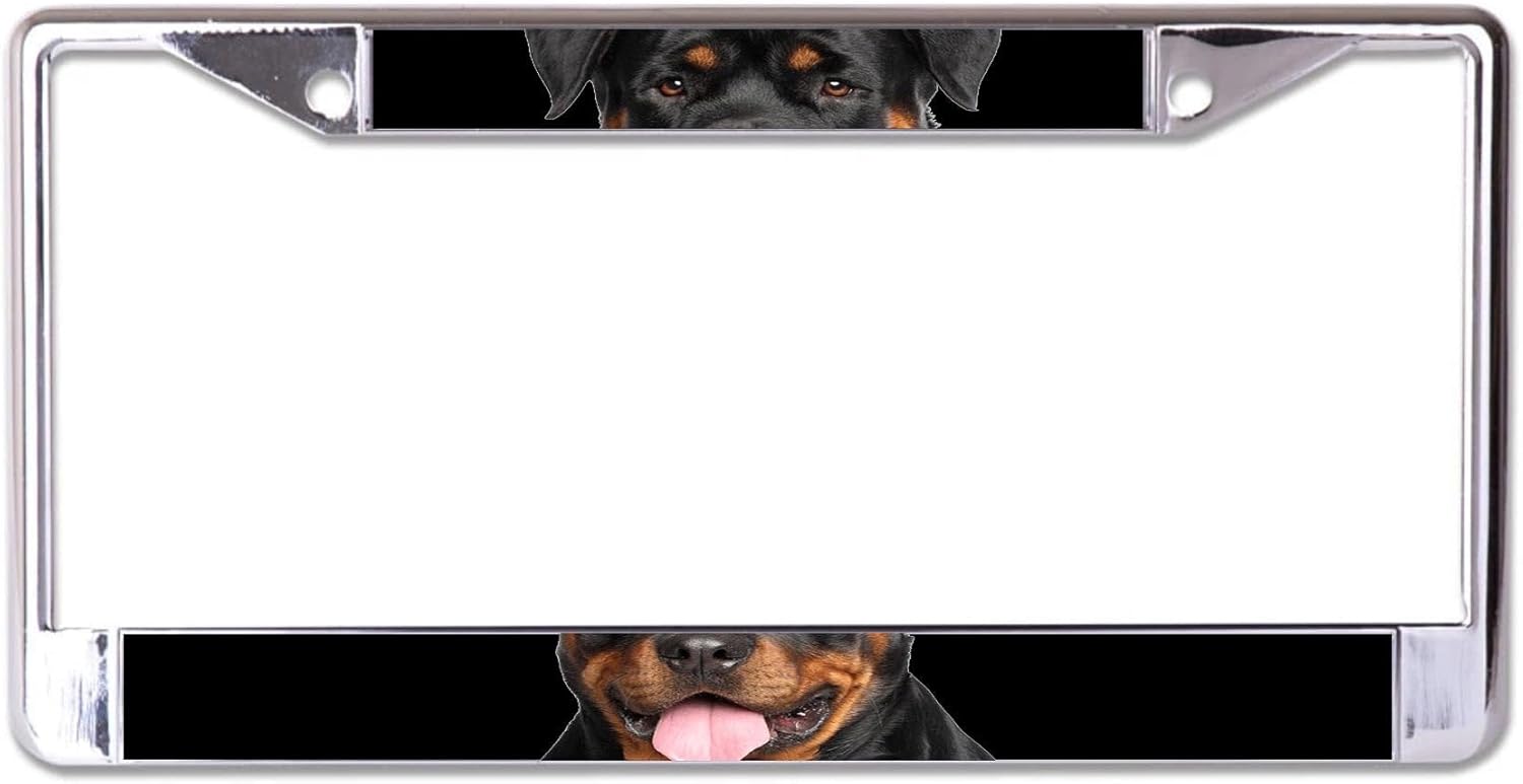 Rottweiler Face Chrome License Plate Frame