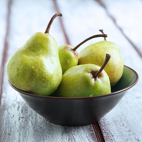 Miniatura 9 de Paquete de frutas Signature Orchard con 6 manzanas, 3 peras y 3 naranjas (12 piezas) de fruta fresca Orchard de Capital City Fruit, Farm Produce