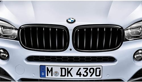 BMW 51712354933 M Performance - Rejilla lateral para F86 X6 M, color negro brillante