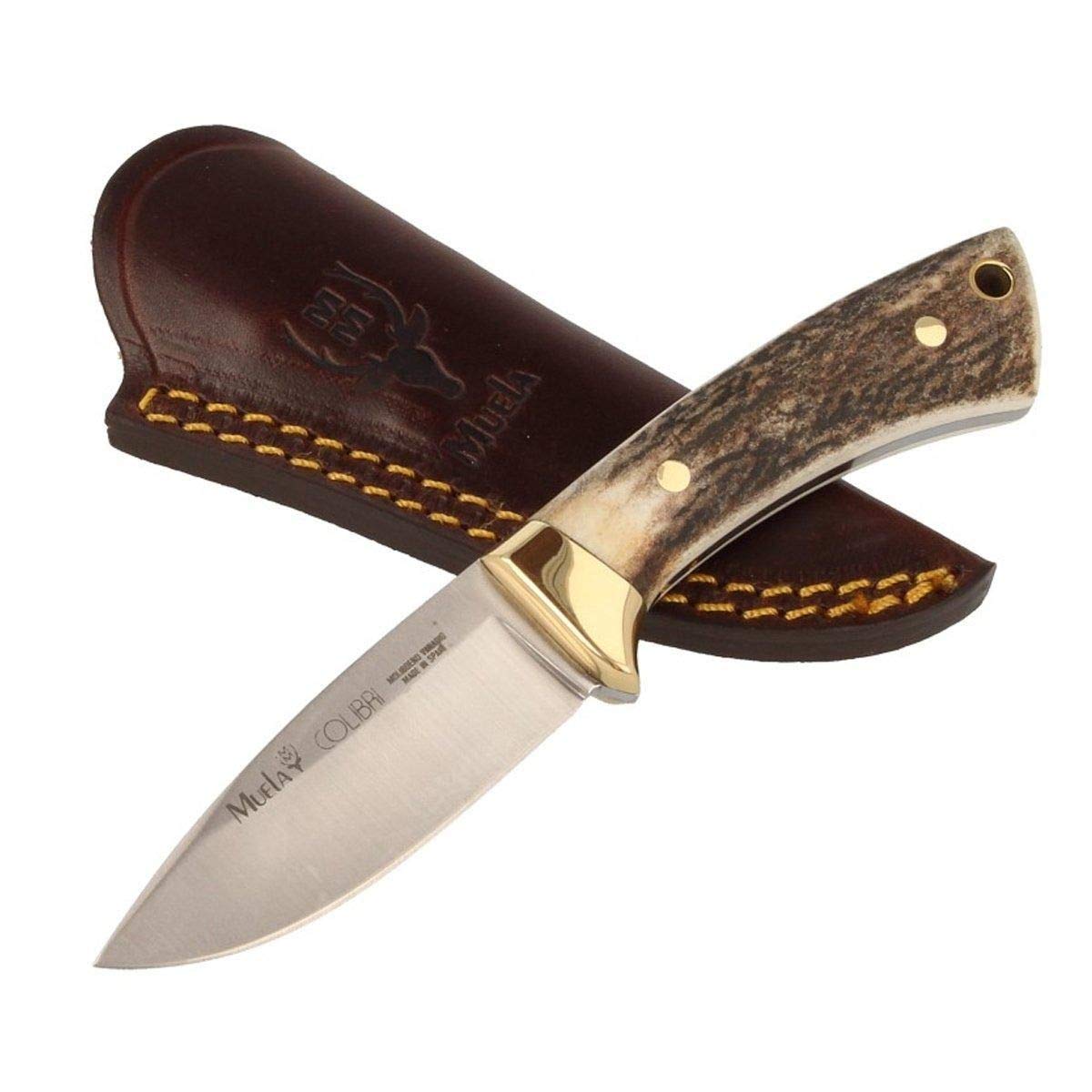 Muela Cuchillo Colibri COL-7A hoja de acero MoVa de 7 cm y empuñadura de asta de ciervo para Caza, Pesca, Supervivencia y Bushcraft Realizado en Ciudad Real + Portabotellas de regalo
