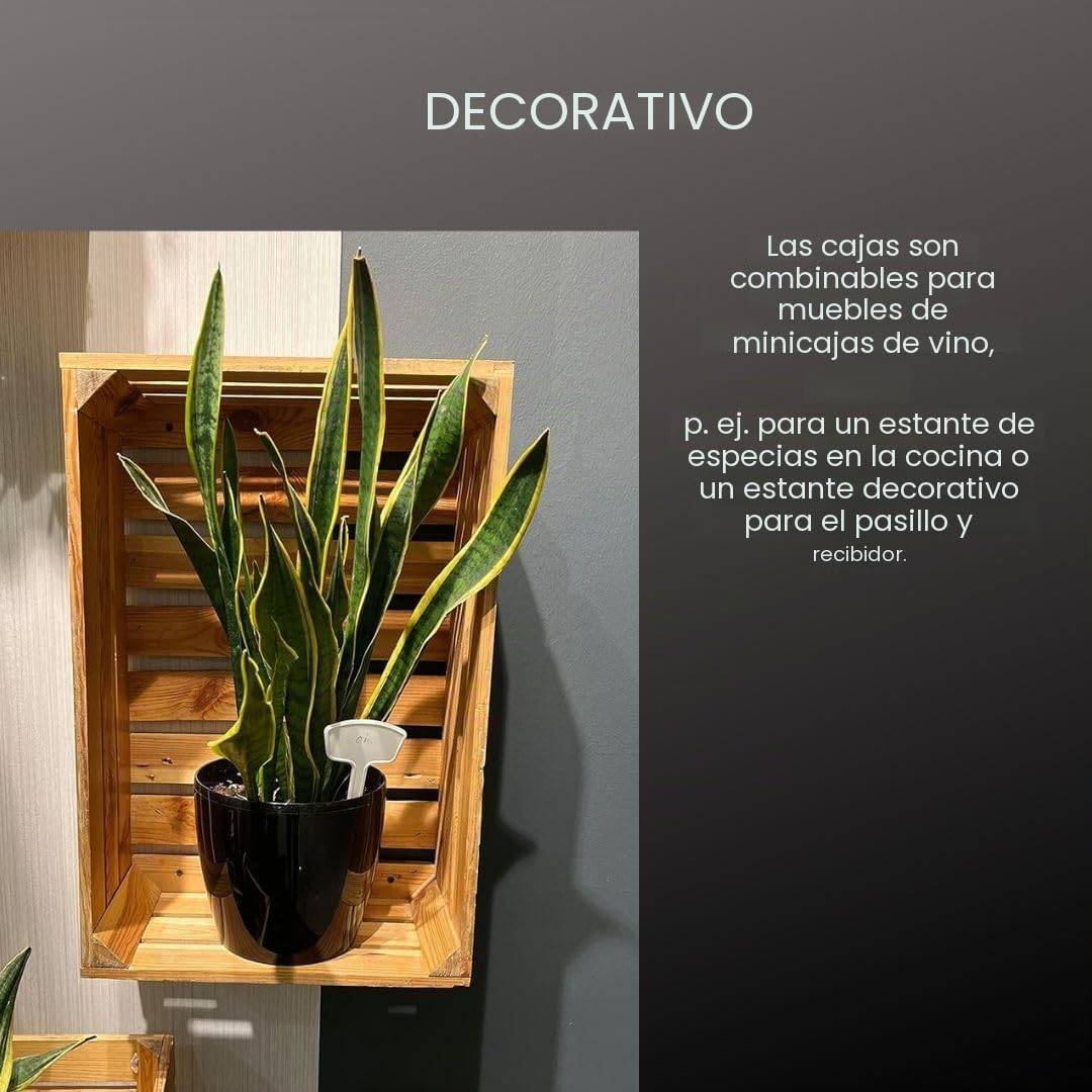 Cajas de Madera Grandes - Frutero Madera - 3 cajas - decorativa para almacenamiento, estante, jardín, interior o exterior - 50 x 40 x 30 cm