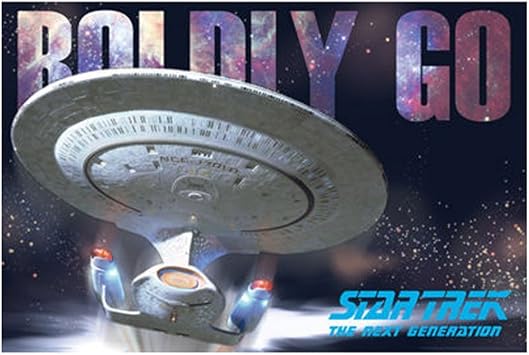 Laminated Star Trek Next Gen Boldly Go Enterprise Ship Poster 24x36 inches