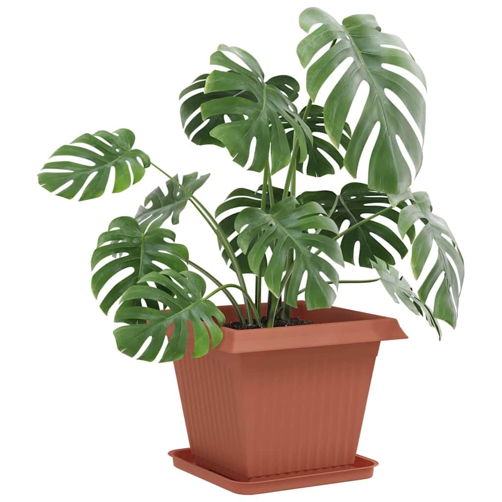 6er Set Blumentöpfe Ziegelrot 38x38x30 cm Quadratische Pflanzentöpfe aus Kunststoff für Außen und Innen Große Pflanzkübel mit Entwässerungslöchern für Garten Balkon Terrasse