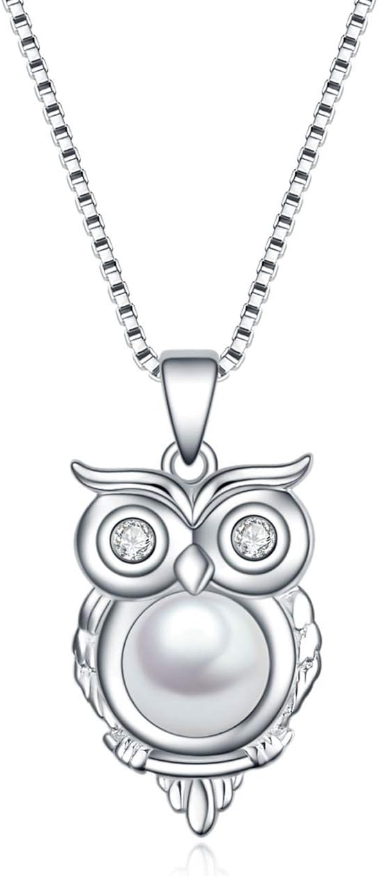 YFN Owl necklace 925 Sterling Silver Owl Pendant I Love You 100 Languages Love Owl Necklace for Women Girlfriend Jewelry Gifts