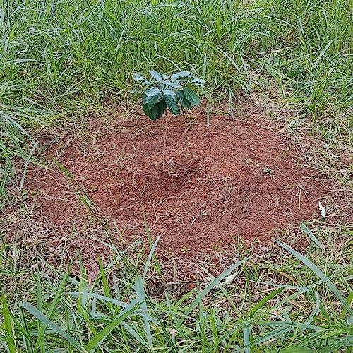 Episódio 4 - Quem dorme em pé, acorda caindo