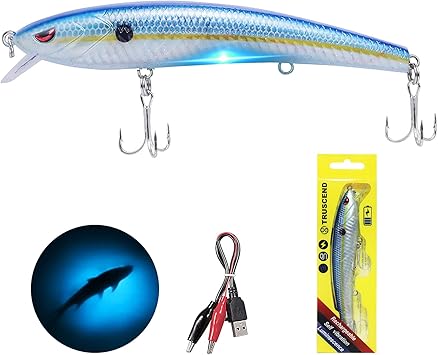 Amazon Com Truscend 電子開關jerkbait 機器人釣魚誘餌可充電led 米諾魚 仿生振動曲魚餌長鑄高級魚餌適用於淡水和鹹水適用於鱸魚walleye Crappie Amazon Com Truscend 電子開關jerkbait 機器人釣魚誘餌可充電led 米諾魚 仿生振動曲魚餌長鑄高級魚餌適用於淡水和鹹水適用於鱸魚walleye Crappie
