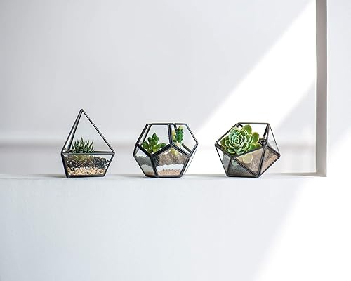 Miniatura 9 de Mkono - Terrario de cristal geométrico macetero moderno para mesa para plantas suculentas de helecho o musgo o plantas aéreas diseño de hadas en