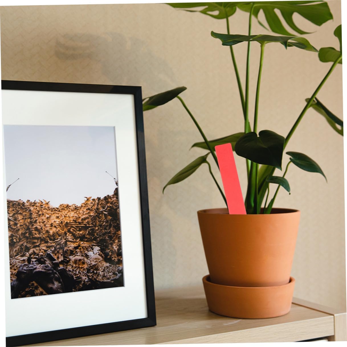 600pcs Waterproof Plastic Plant Tags and Garden Labels Stakes for Flower Pots Multi-Color Small Plant Markers 10x1.8cm for Outdoor Gardening and Succulents