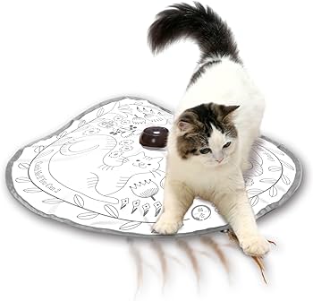 Amazon.co.jp: 猫壱（necoichi） キャッチ・ミー・イフ・ユー・キャン2