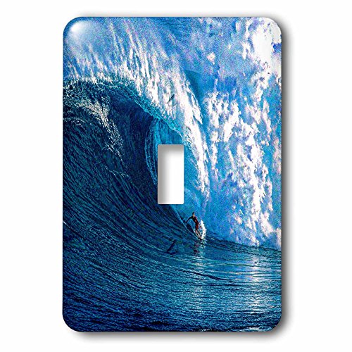 3dRose lsp_167236_1 X^[EF[u T[t{[hɏ_ȃT[tB VOgOXCb`