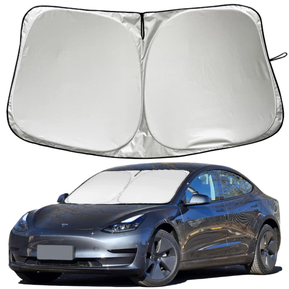 Model Windshield ubicaciondepersonas.cdmx.gob.mx