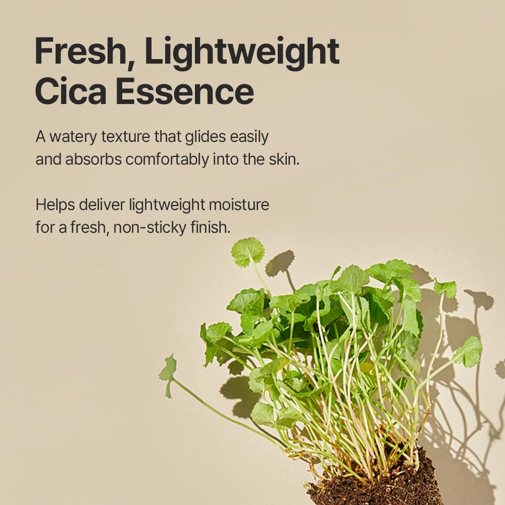 Mixsoon Soondy Centella Asiatica Essence 100ml - Yatıştırıcı & Yoğun Nemlendirici Vegan Öz