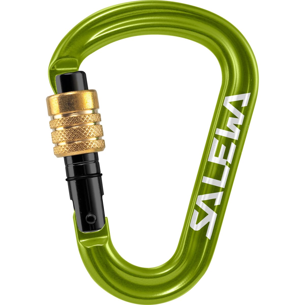 SALEWA HMS PRO Carabiner, Moschettone con Vite in Ottone Unisex Adulto