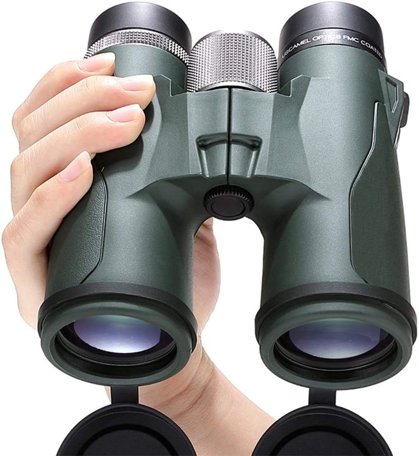 https://m.media-amazon.com/images/I/61P4t3gnpdL._AC_SL1000_.jpg?VmitGMrHEsgWv