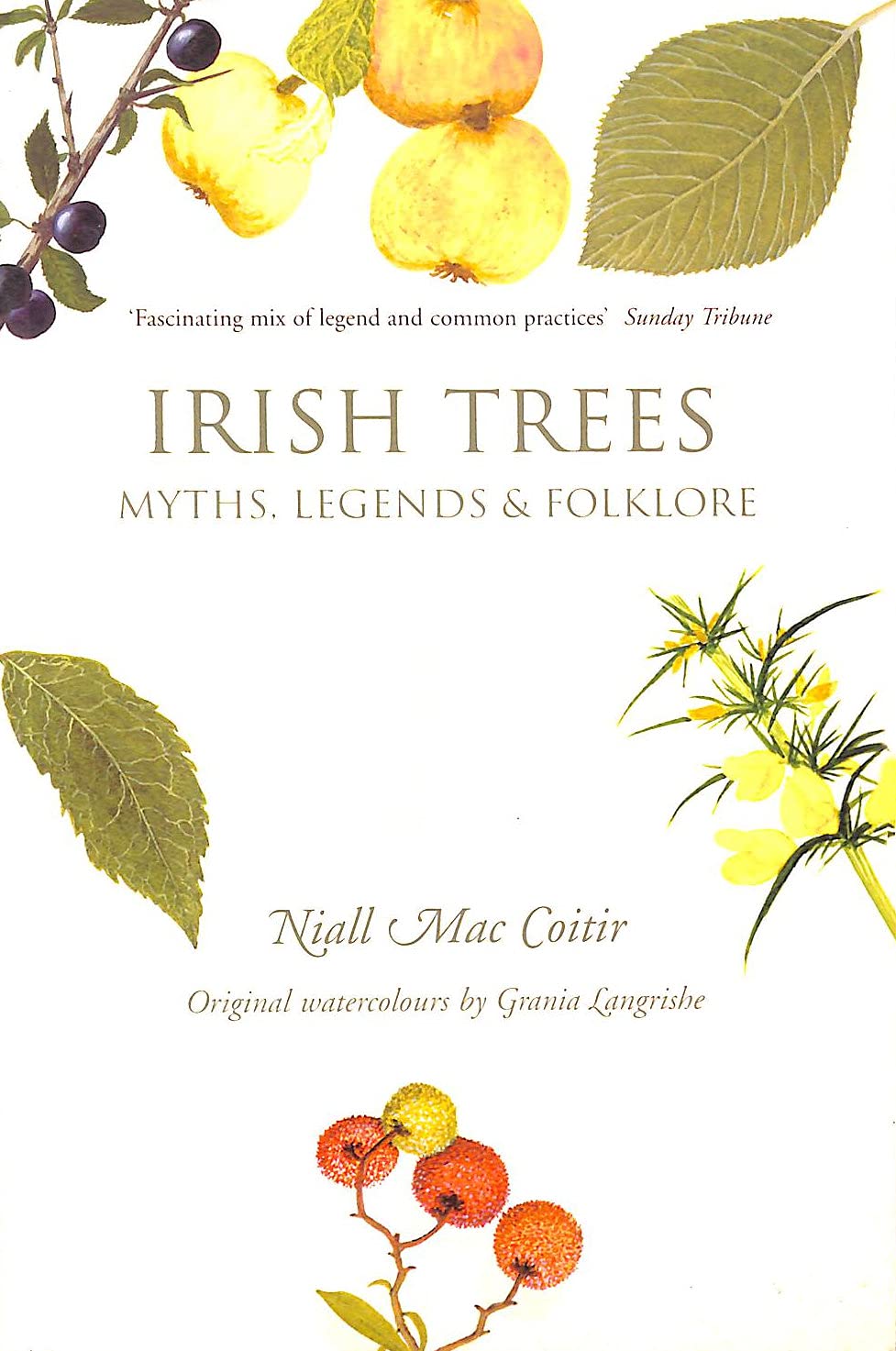 Buy Irish Trees: Myth, Legend and Folklore — BookShops.in