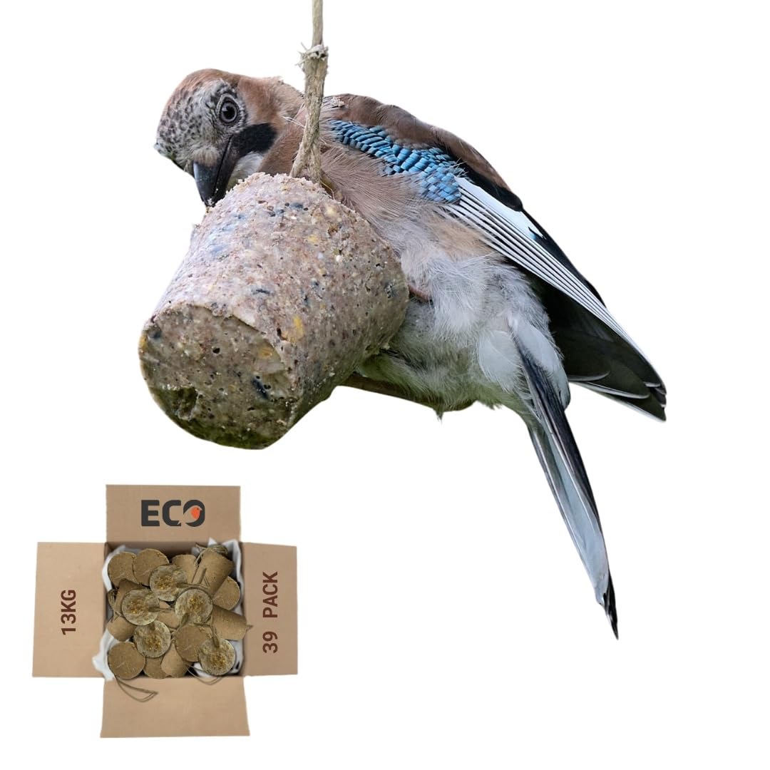 Eco Bird Food Seasonal Suet Cones – 13kg Pack of 39 – Plastic-Free, Recyclable, Biodegradable Packaging – Low-Waste, High-Energy Wild Bird Feed – UK-Made with Seasonal Ingredients