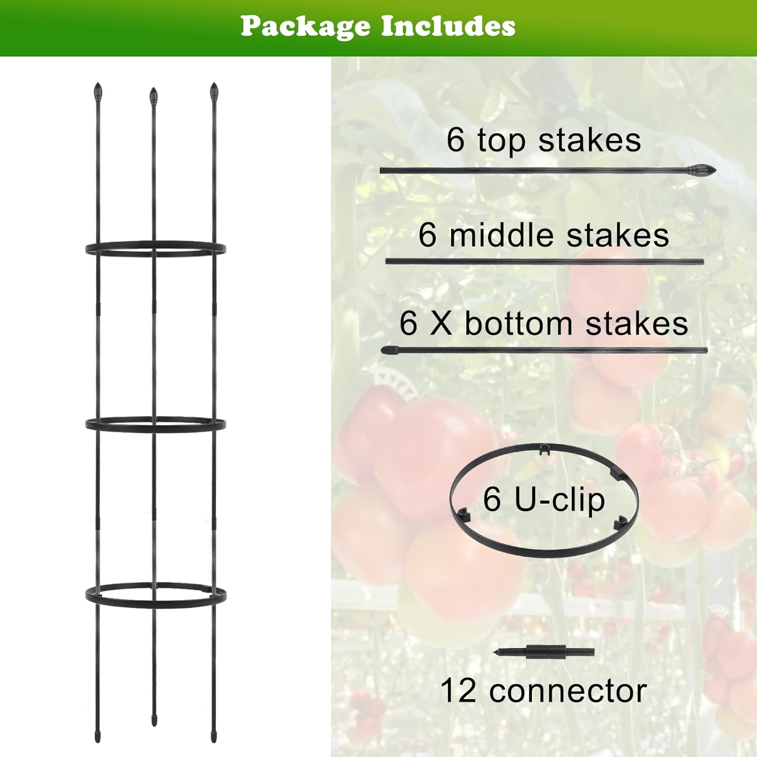 Spring Garden Trellis Showdown: 2-in-1‌ vs Adjustable ​Height for Vines - Tested Indoors/Outdoors