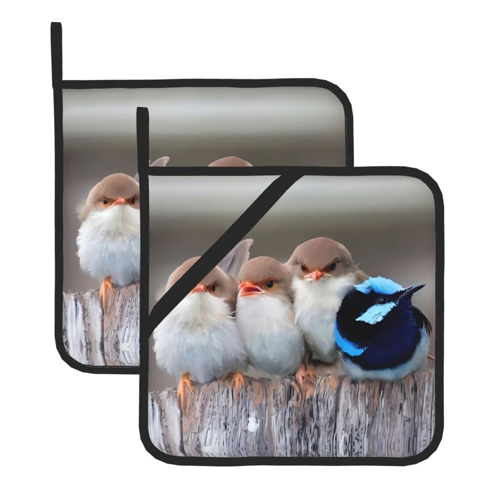 WHJDPP Four Birds Prints Square Hot Pads for Kitchen - Waterproof Pot Holders Set of 2, Durable Trivets with Pocket & Hanging Loop for Hot Dishes & Oven Use