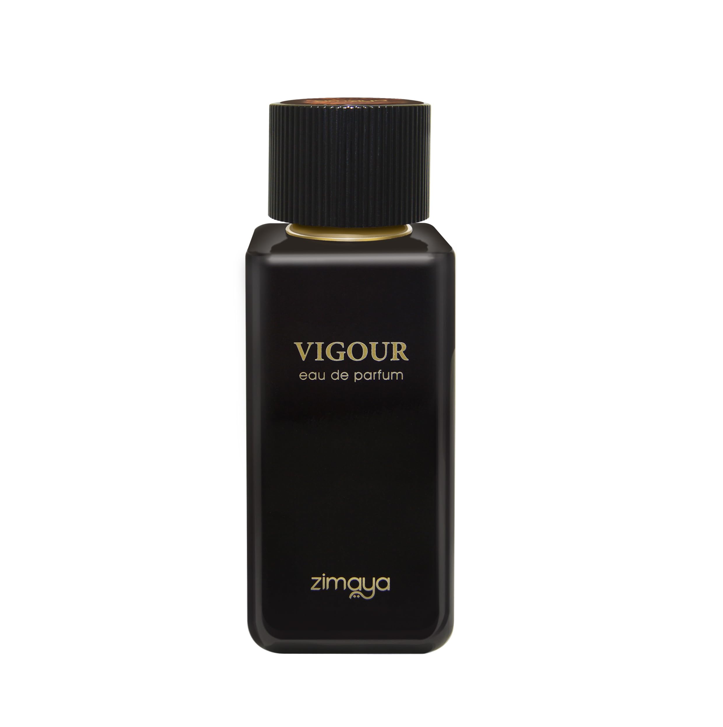 Vigour Eau De Parfum For Men, 100ML