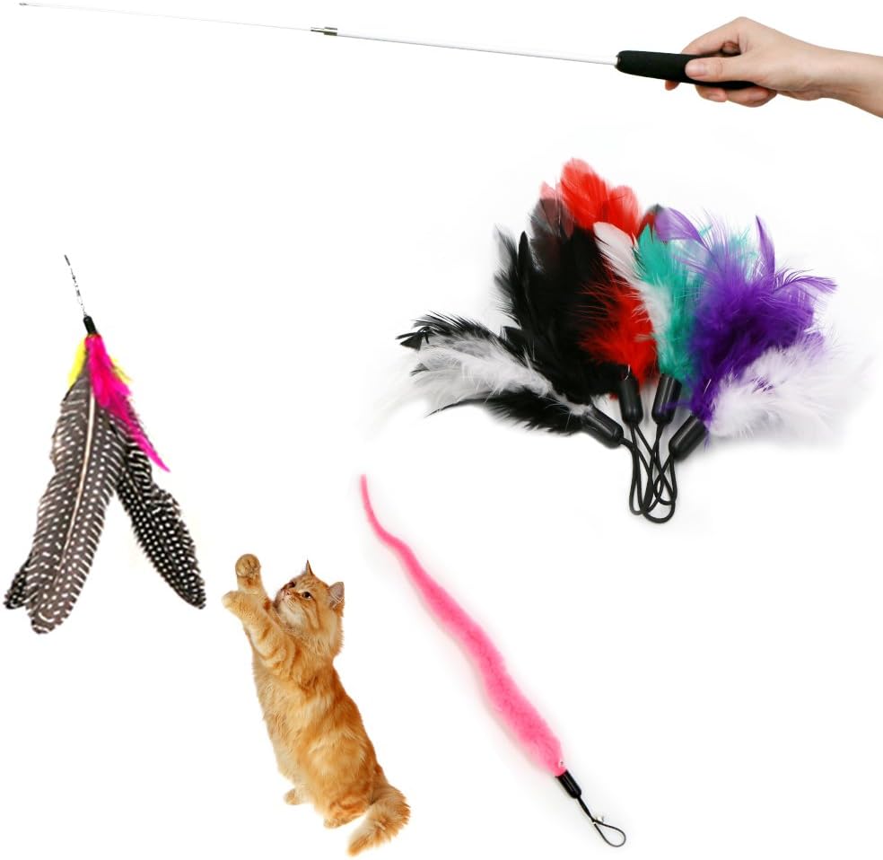 Kany 6 Pcs Assorted Feather Cat Interactive Toy, Retractable Wand Rod with 6 Pcs Feather Teaser Cat Catcher - Perfect Teaser for…