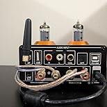 Amazon.com: Douk Audio ST-01 PRO 200W Bluetooth Amplifier, 2 Channel ...