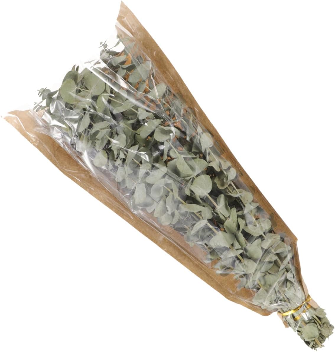Dried Lavender and Eucalyptus Shower Bundle 12 Fresh Eucalyptus Stems and 40g Natural Dried Lavender for Bathroom Decor and Aromatherapy