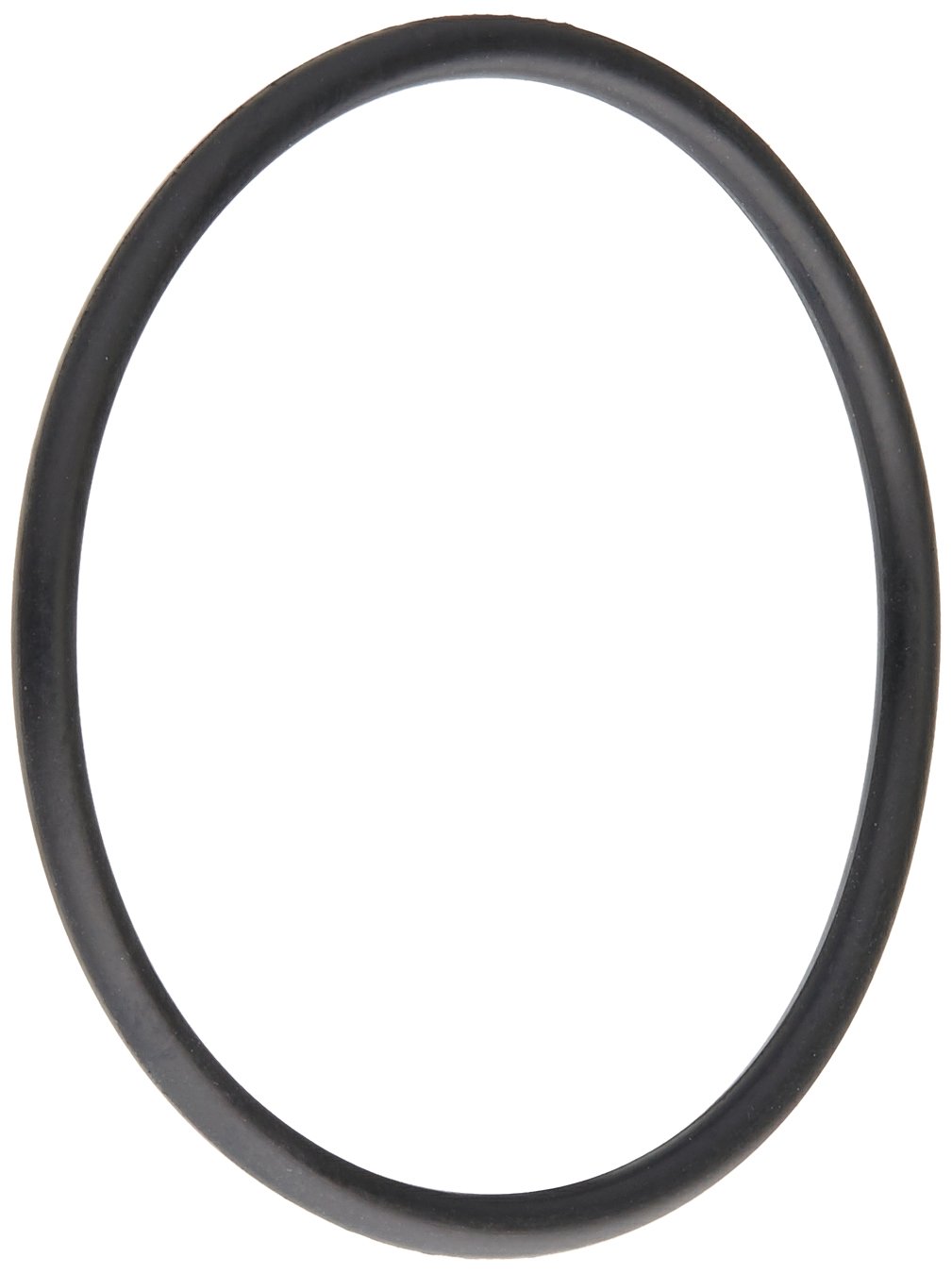 WaterwayPlastics 806105129253 Large O-Ring Adjacent Mini Jet