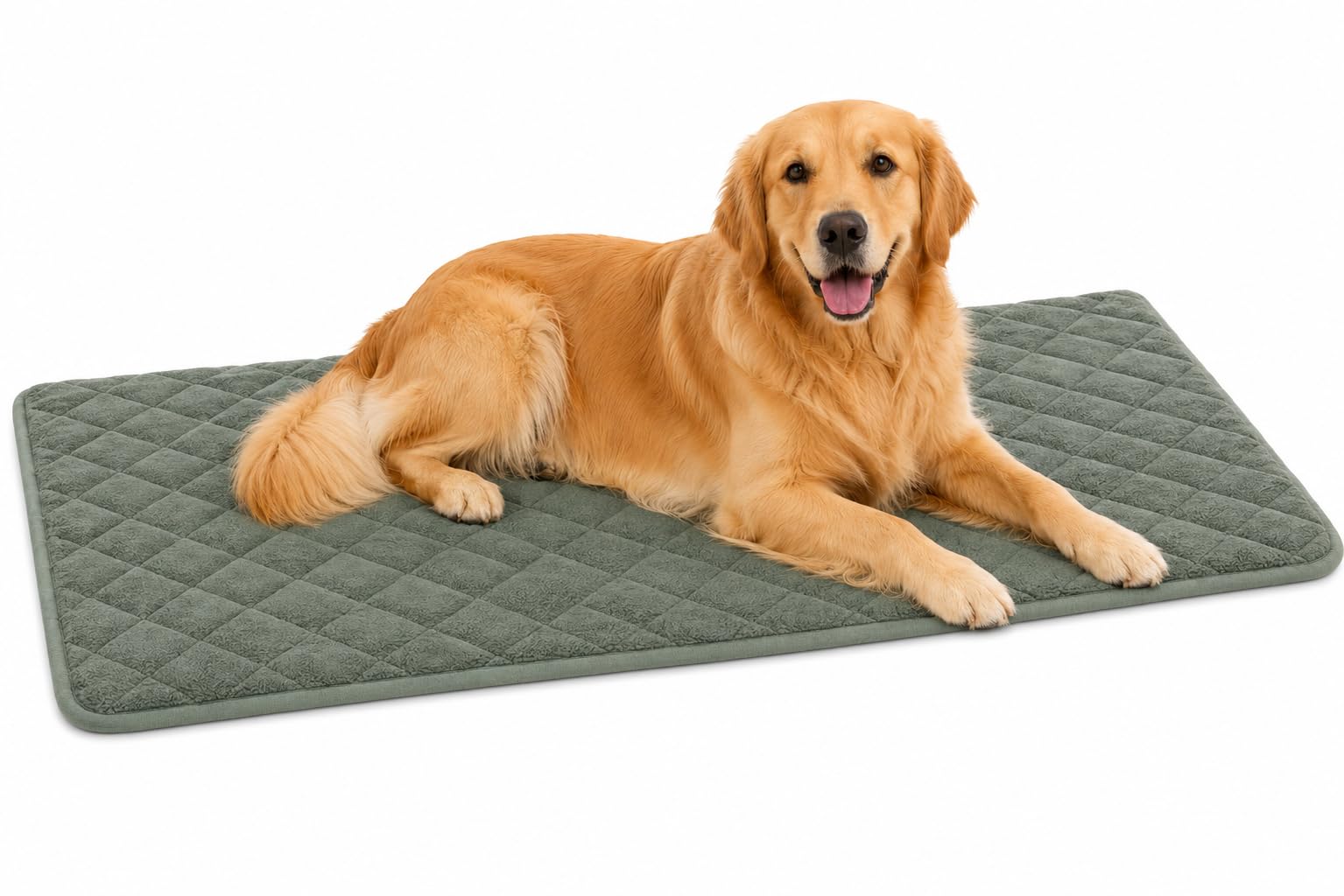 cuccia cane - cuscino ortopedico Weimar verde XXL - cuscino premium per cani e gatti - 116x69x2cm